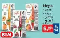 MEYSU MEYSU MEYVELİ İÇECEK/NEKTAR ÇEŞİTLERİ